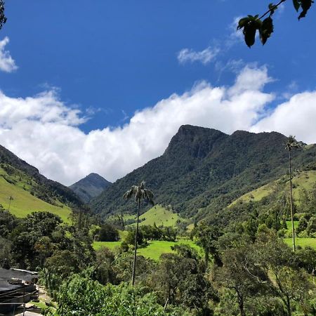 Cabanas Valle Del Cocora La Truchera Саленто Экстерьер фото