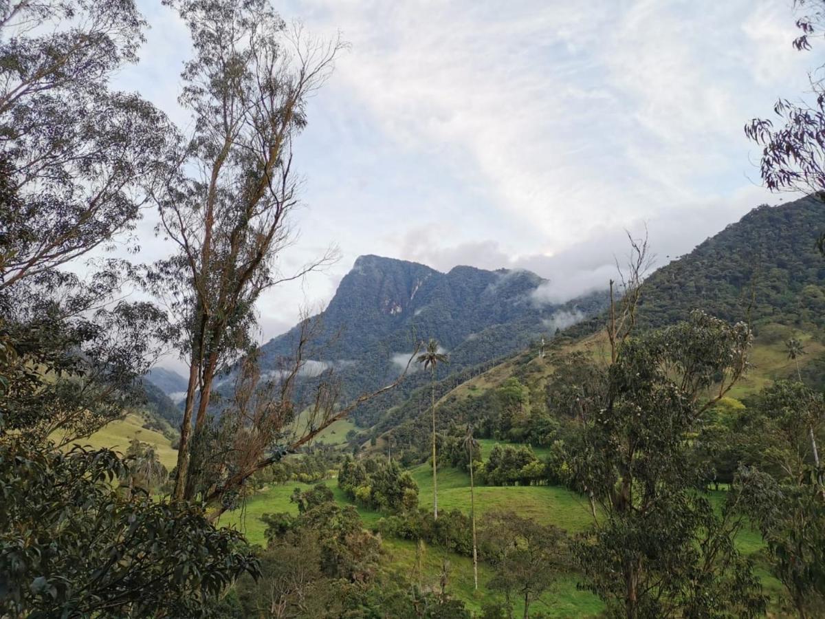 Cabanas Valle Del Cocora La Truchera Саленто Экстерьер фото