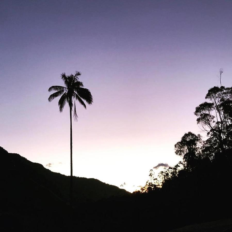 Cabanas Valle Del Cocora La Truchera Саленто Экстерьер фото