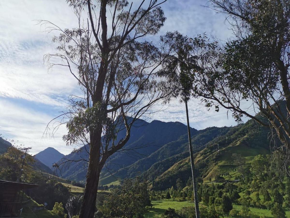 Cabanas Valle Del Cocora La Truchera Саленто Экстерьер фото