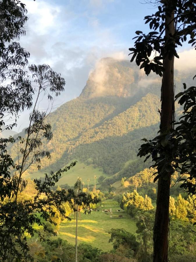 Cabanas Valle Del Cocora La Truchera Саленто Экстерьер фото