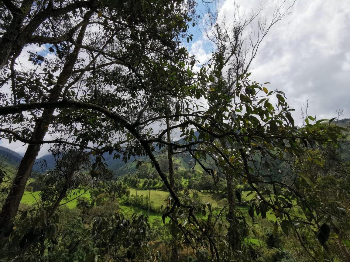 Cabanas Valle Del Cocora La Truchera Саленто Экстерьер фото
