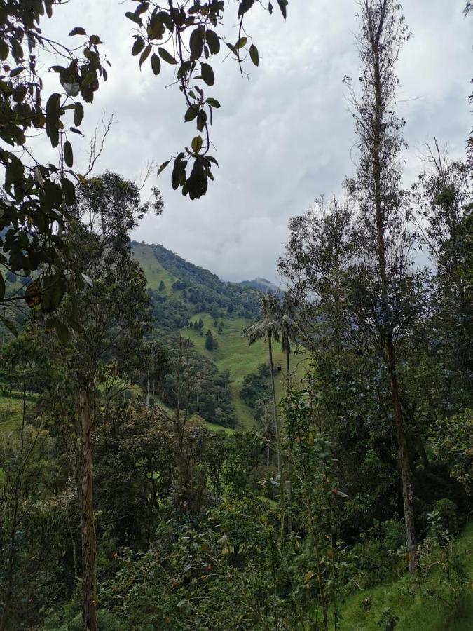 Cabanas Valle Del Cocora La Truchera Саленто Экстерьер фото