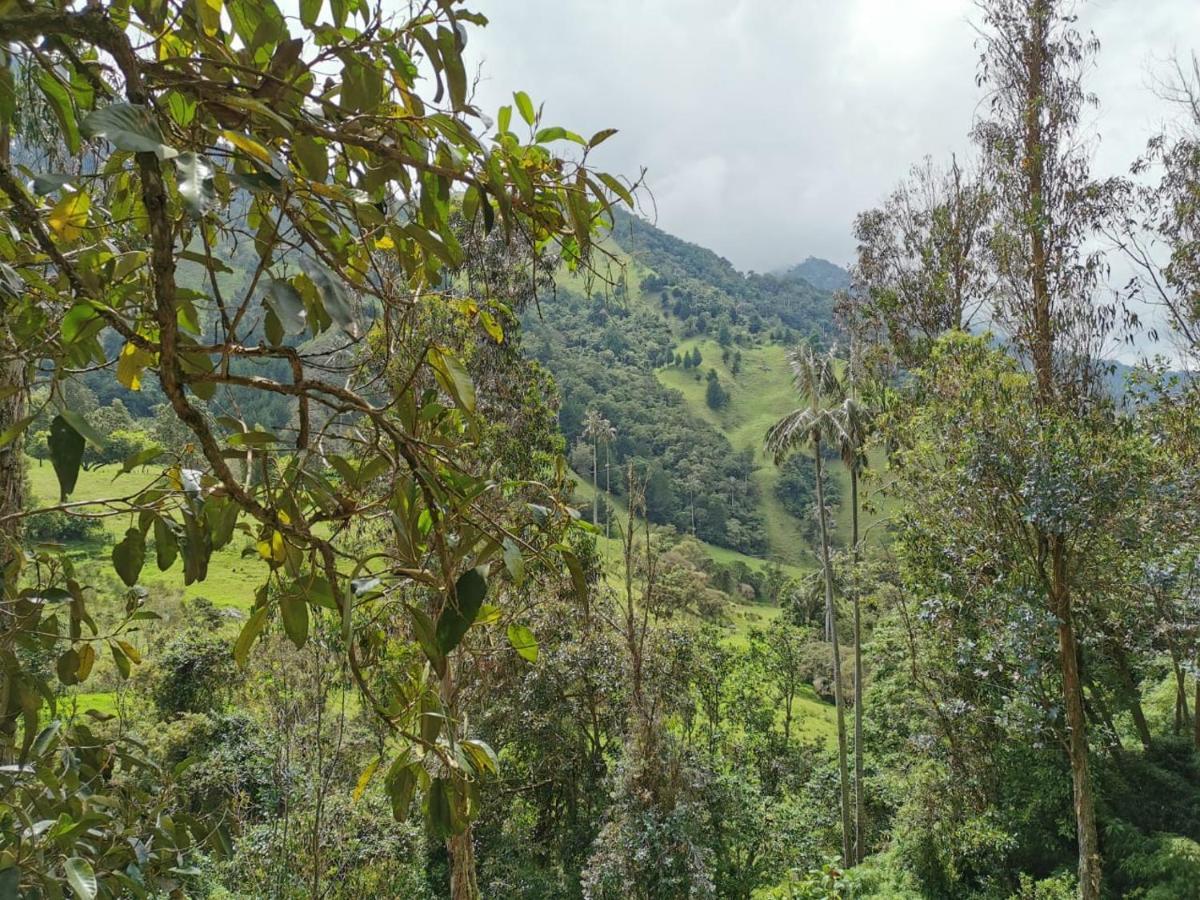 Cabanas Valle Del Cocora La Truchera Саленто Экстерьер фото