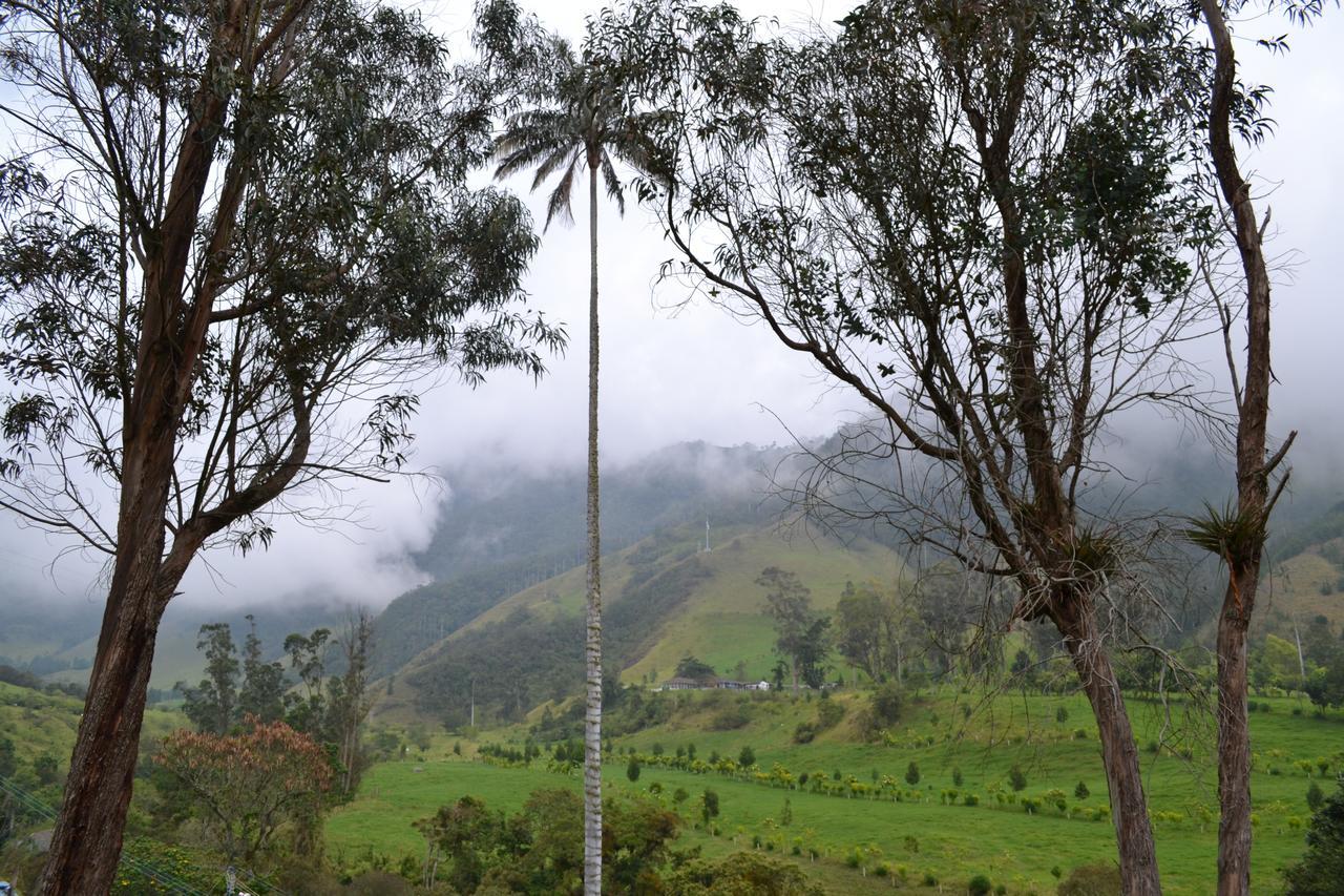 Cabanas Valle Del Cocora La Truchera Саленто Экстерьер фото