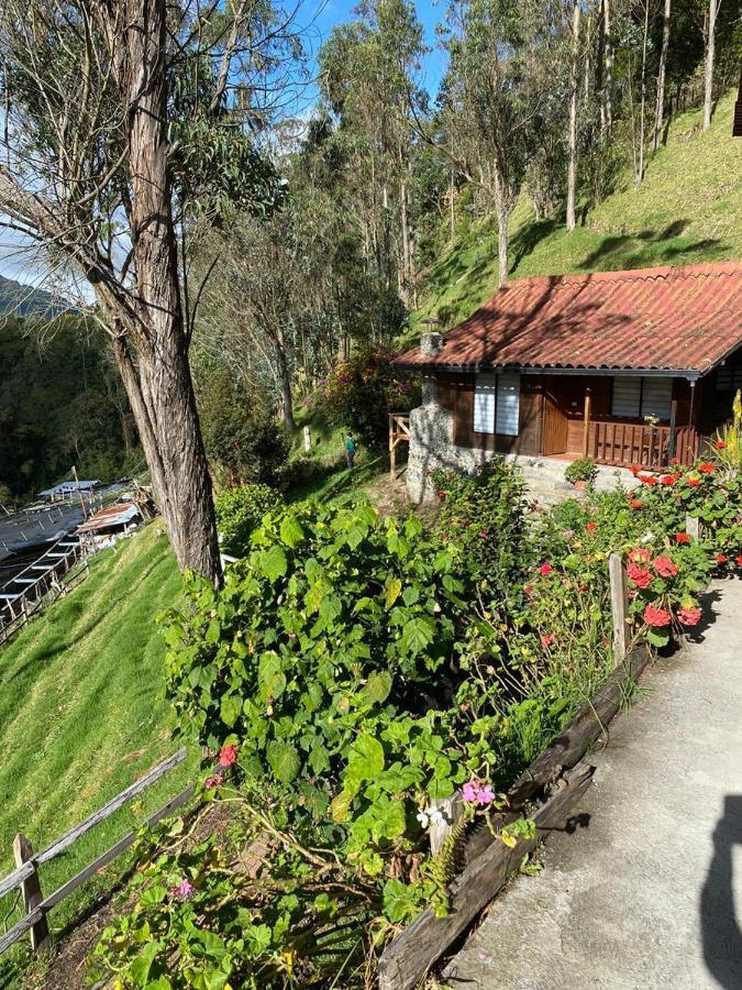 Cabanas Valle Del Cocora La Truchera Саленто Экстерьер фото
