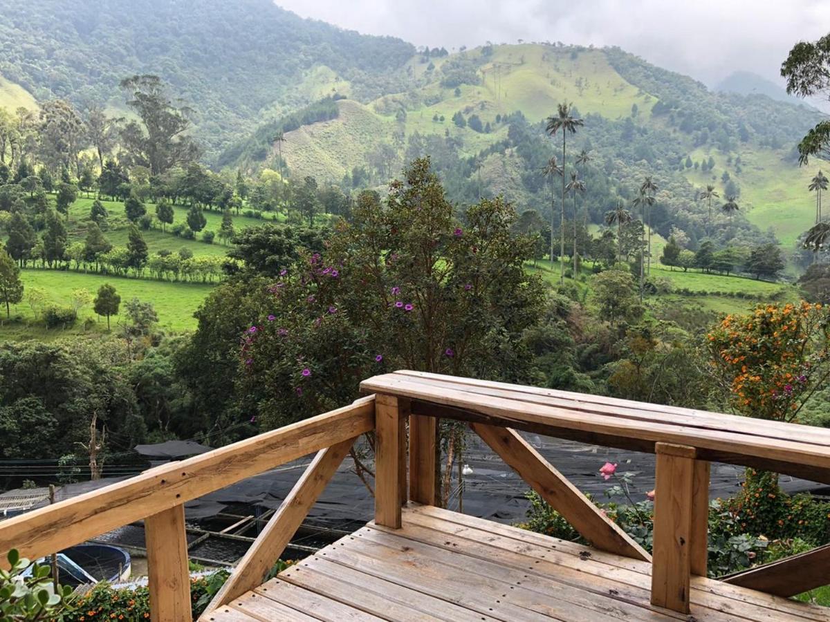 Cabanas Valle Del Cocora La Truchera Саленто Экстерьер фото