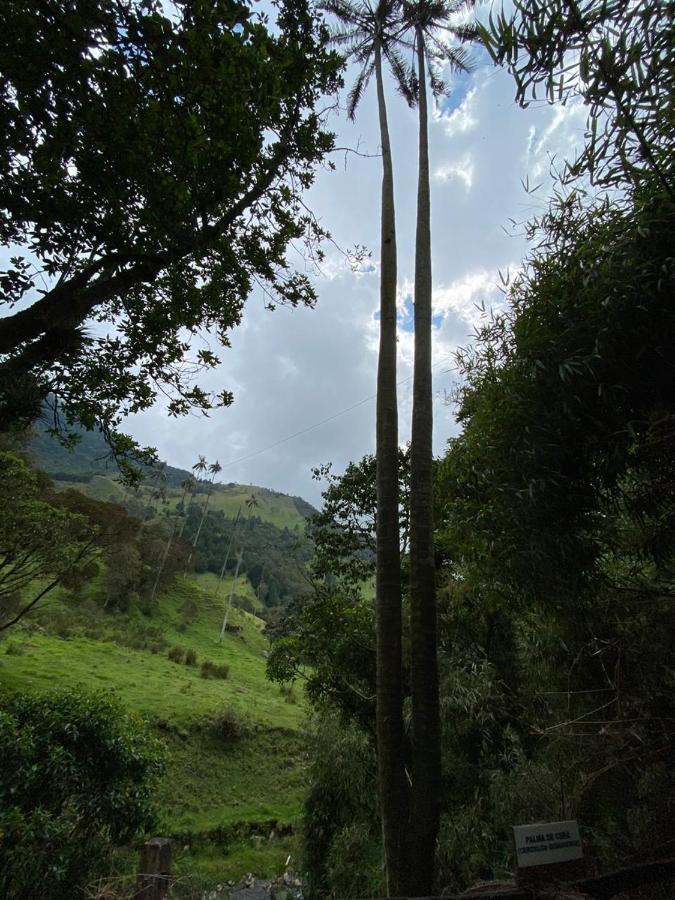 Cabanas Valle Del Cocora La Truchera Саленто Экстерьер фото