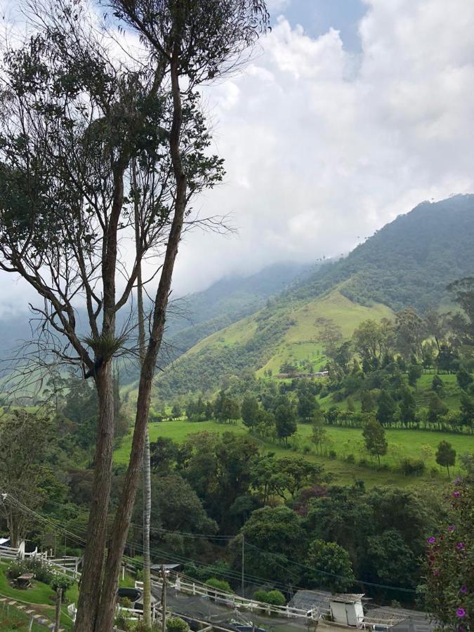 Cabanas Valle Del Cocora La Truchera Саленто Экстерьер фото