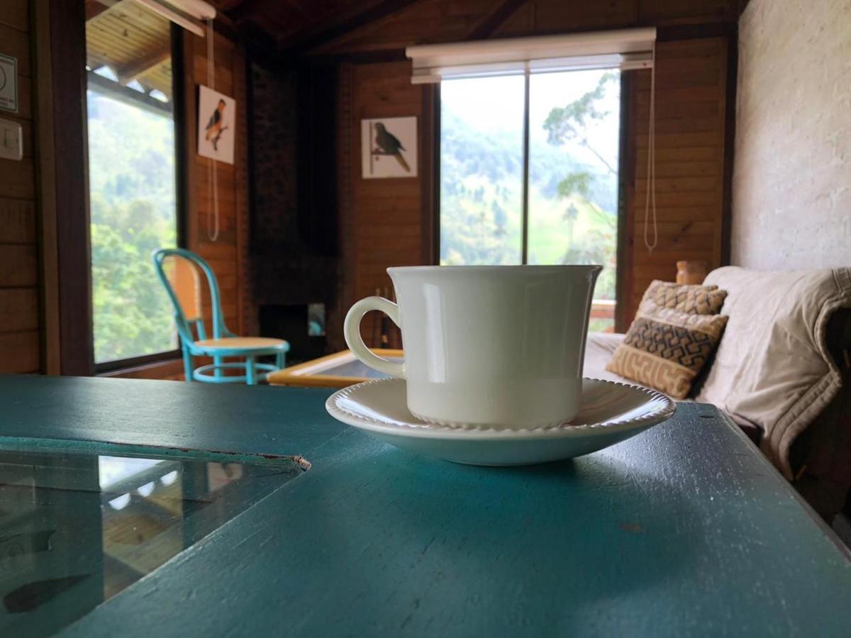 Cabanas Valle Del Cocora La Truchera Саленто Экстерьер фото