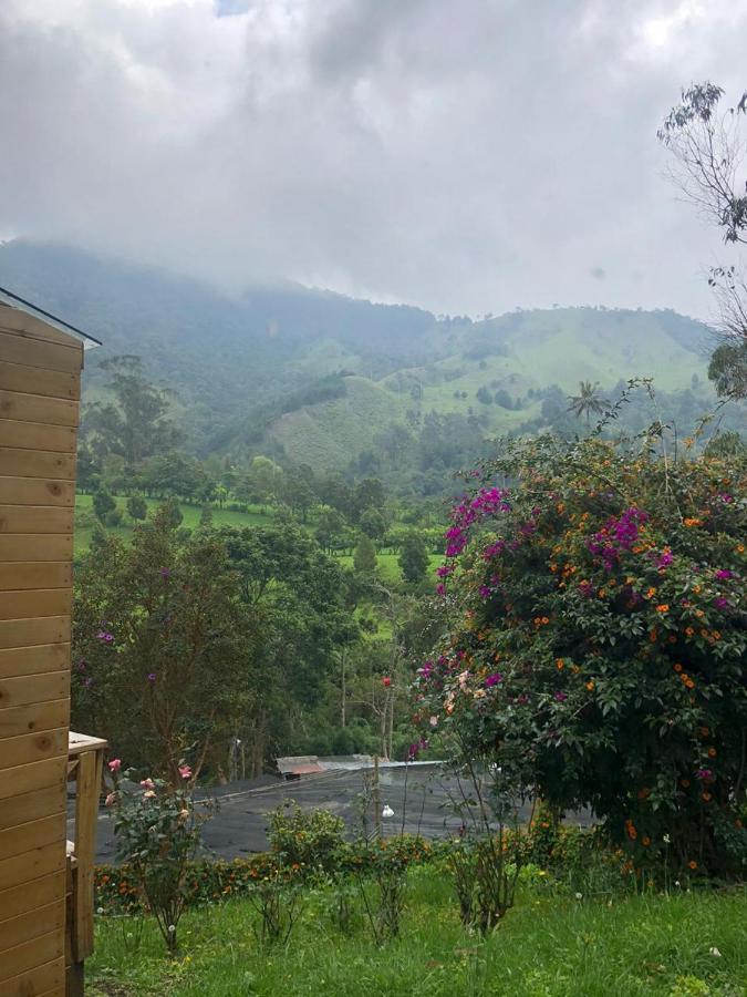 Cabanas Valle Del Cocora La Truchera Саленто Экстерьер фото